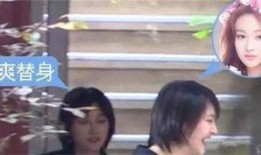 替身演员爆料视频大全最新,揭秘影视幕后那些不为人知的秘密