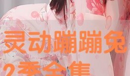 灵动在线观看,揭秘网络直播的魅力与挑战