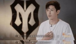 陈泽和斩虎互相爆料视频,真相与争议交织的娱乐圈风云